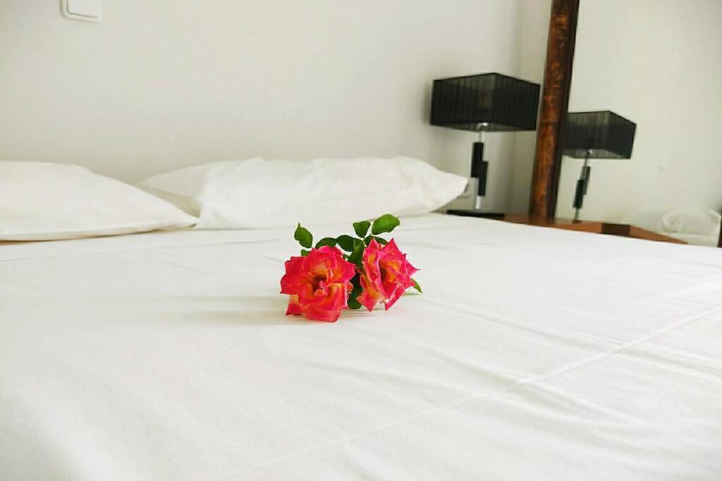 Peggy'S Lux Apartment Karavomylos Ngoại thất bức ảnh